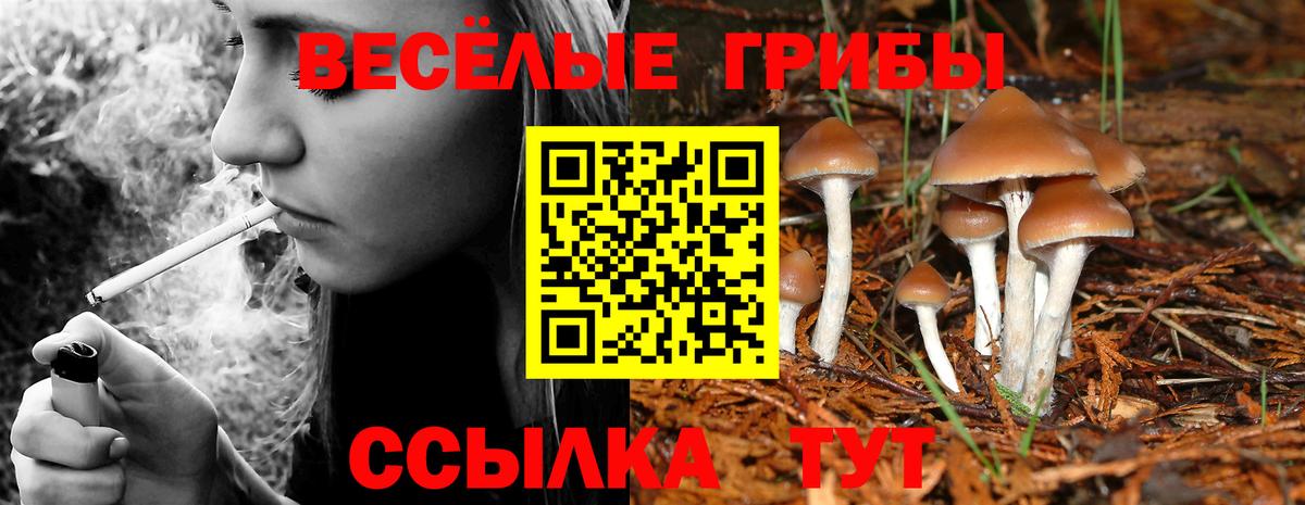 Псилоцибиновые грибы ЛСД  Вход с VPN  Барабинск 